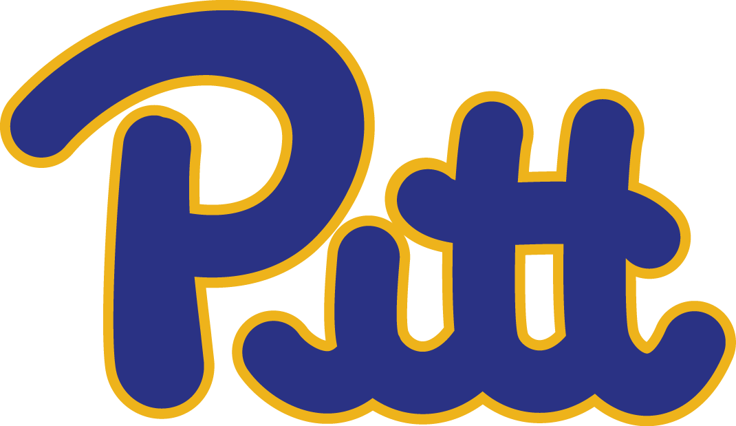 Pittsburgh Panthers 1973-1996 Wordmark Logo v2 iron on transfers for fabric
